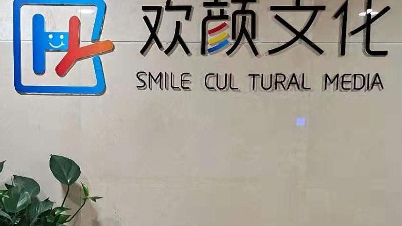 企业宣传片制作公司年费报价，如何精准评估价值？**